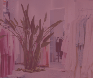 Fashion & Clothing Stores