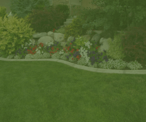 Landscaping Companies